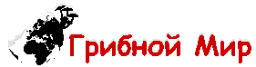 Грибной Мир