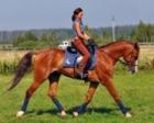 Фото профиля: Чип