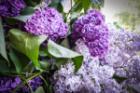 Фото профиля: Нина